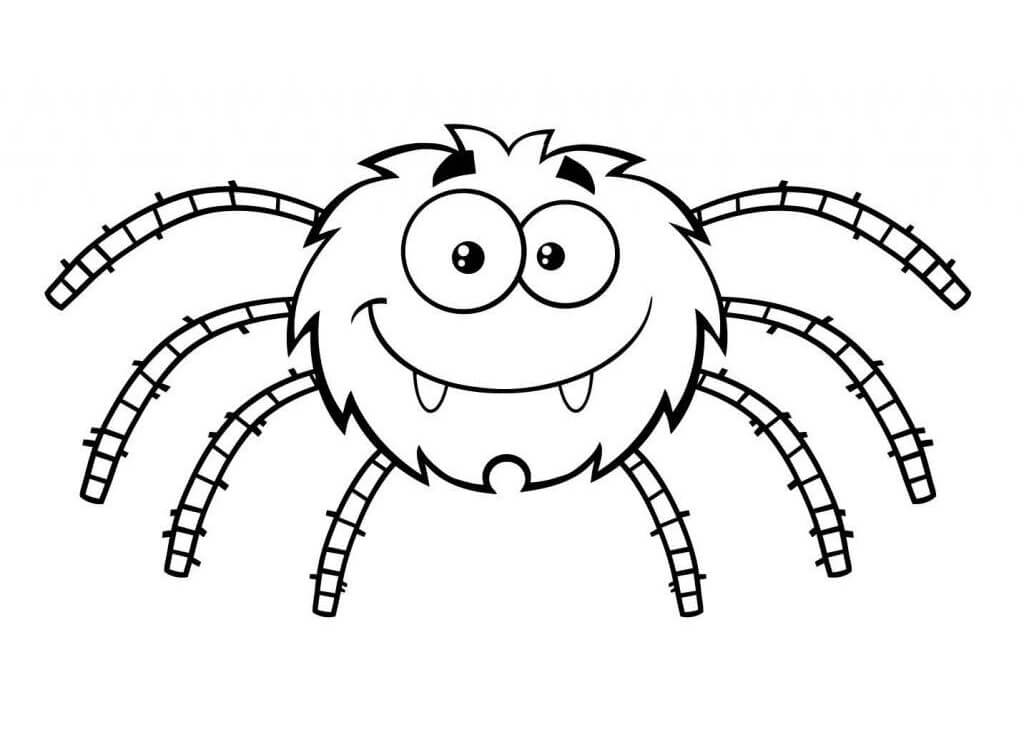 Con Nhện Vui Nhộn