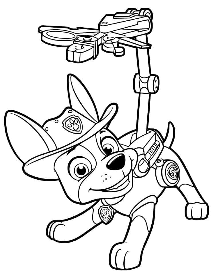Đội Chó Cứu Hộ Paw Patrol Tracker