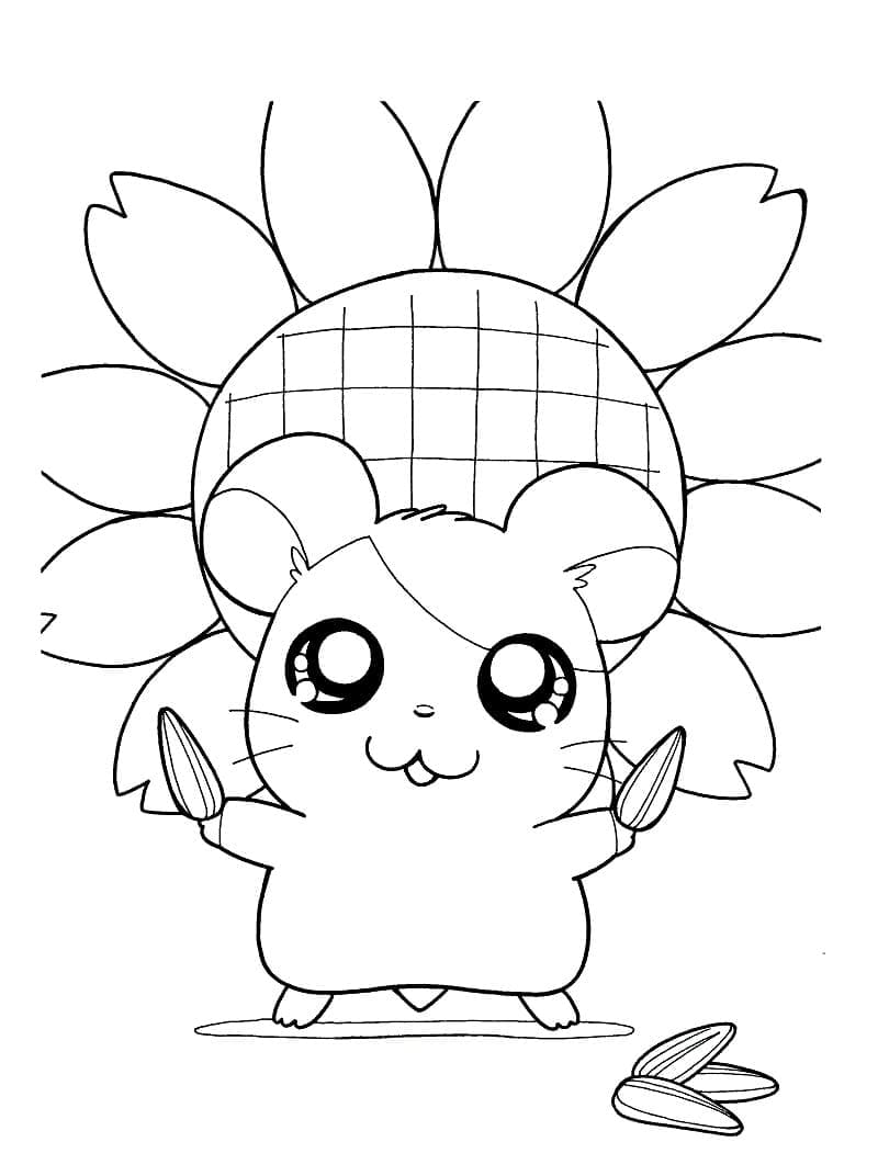 Hamtaro Vui Nhộn