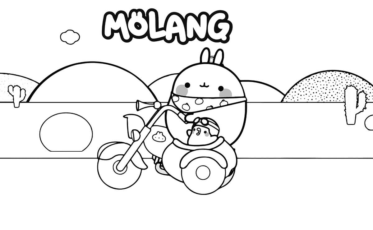 Molang Lái Xe Trên Đường