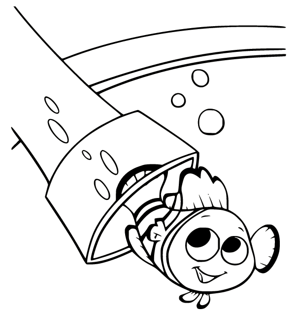 Nemo Ra Khỏi Ống Nước