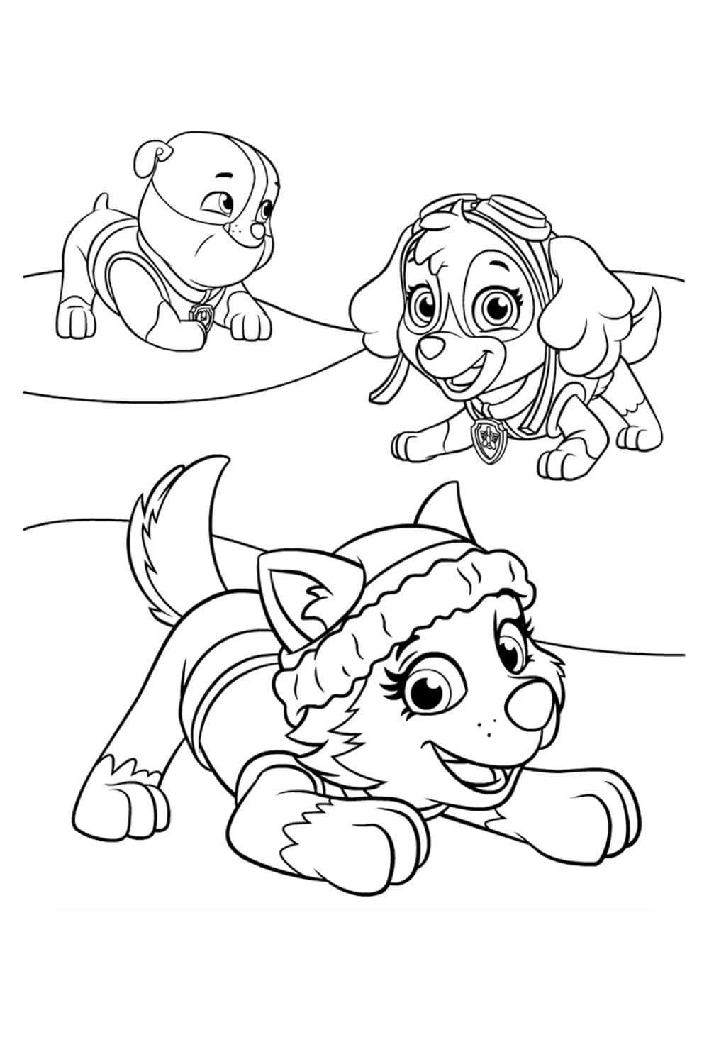 Những Chú Chó Cứu Hộ Đáng Yêu