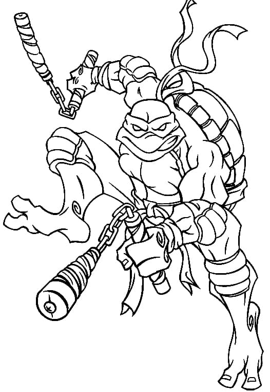 Ninja Rùa Với Cái Côn