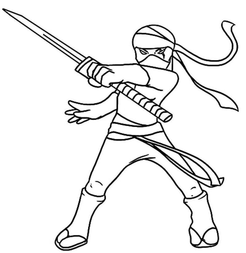Ninja và Thanh Kiếm