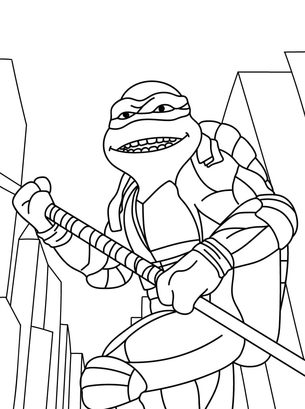 Nụ Cười Của Ninja Rùa