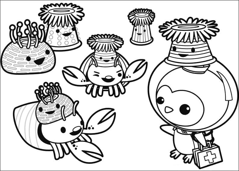 Octonauts Hoạt Hình