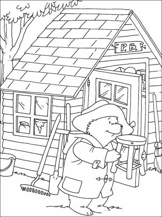 Paddington Đáng Yêu