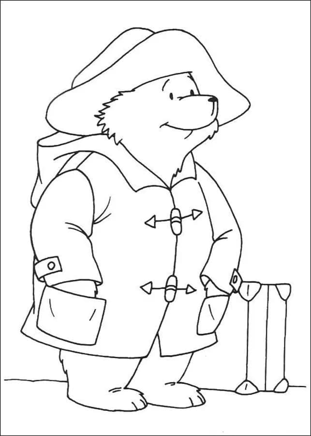 Paddington Vui