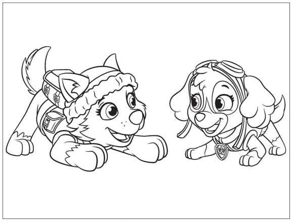 Paw Patrol Everest và Skye