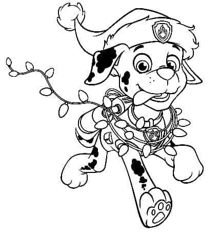Paw Patrol Marshall Ngộ Nghĩnh