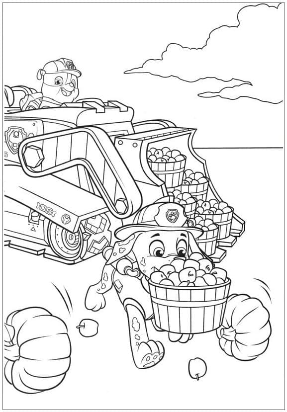 Paw Patrol Rubble và Marshall