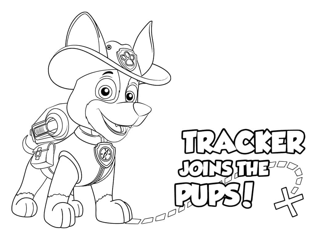Paw Patrol Tracker