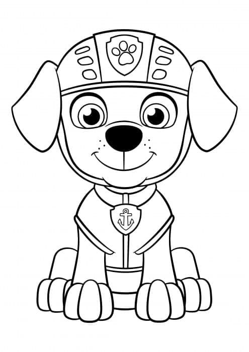 Paw Patrol Zuma Cute