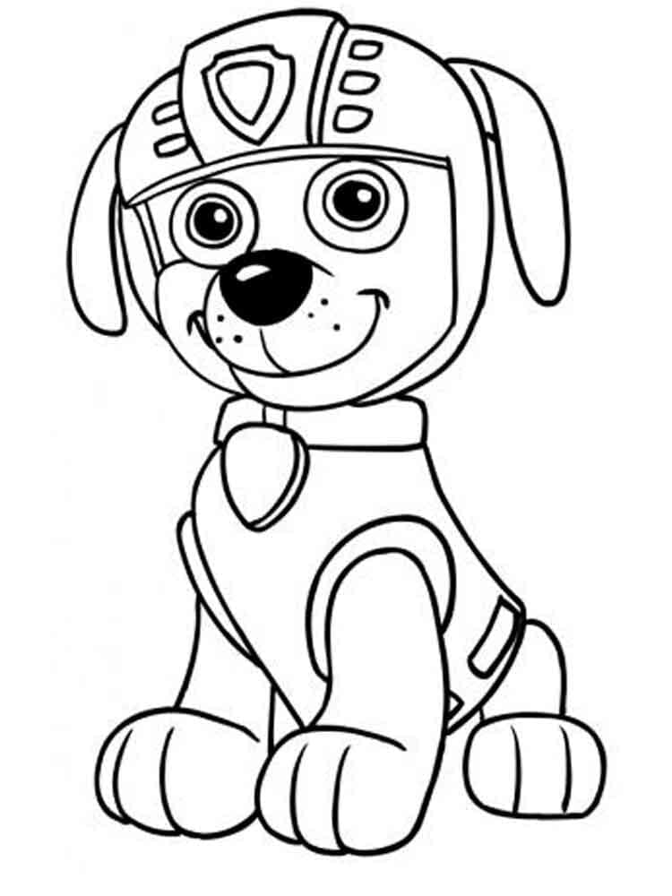 Paw Patrol Zuma Đáng Yêu