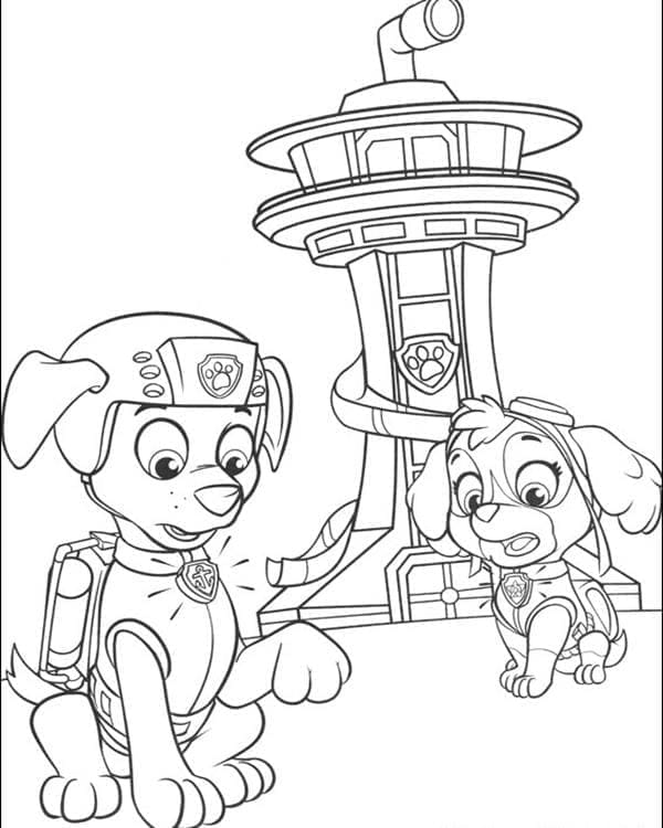 Paw Patrol Zuma và Skye