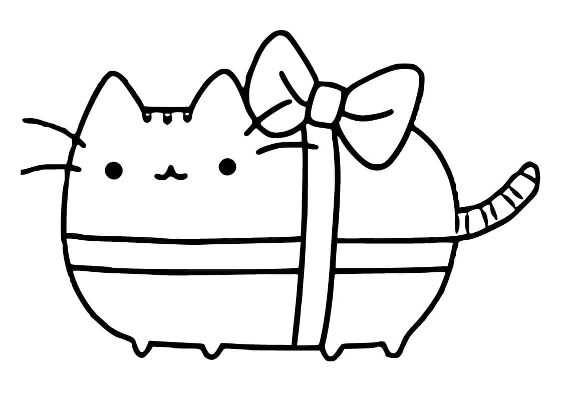 Pusheen Gift