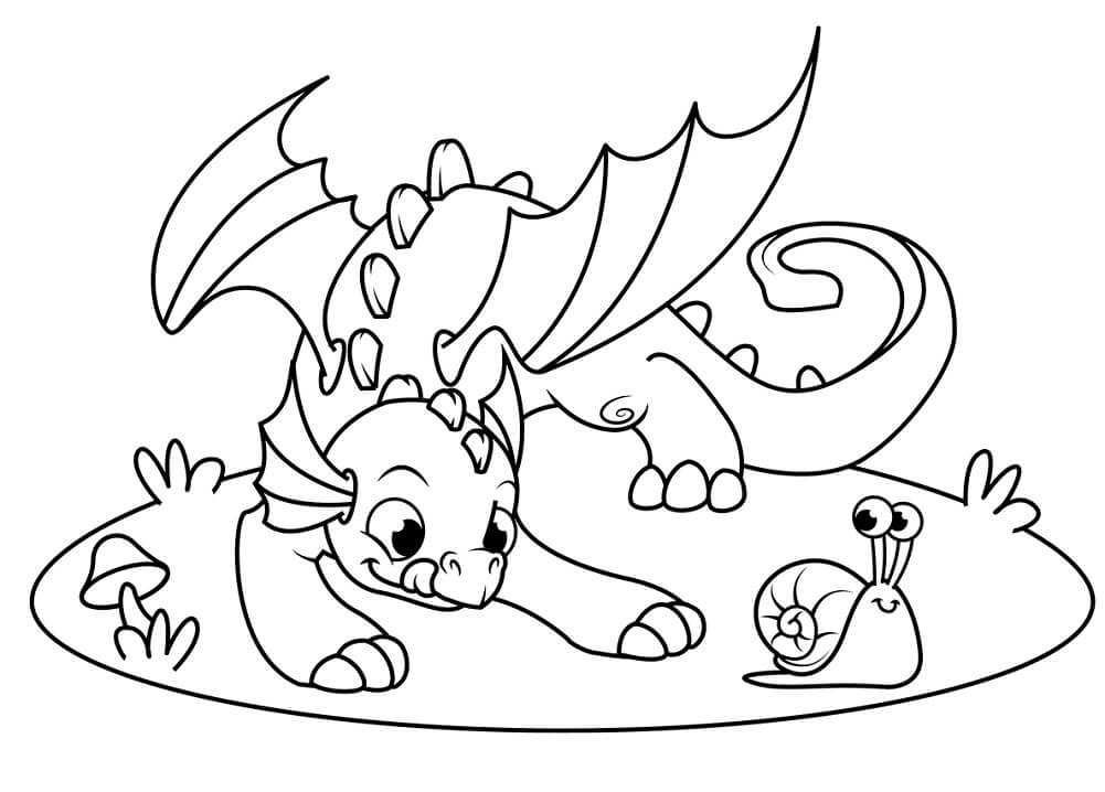 Rồng và Ốc Sên