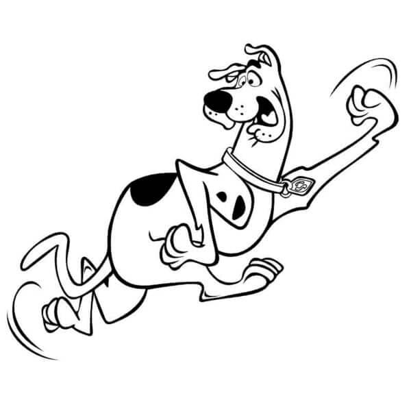 Scooby Doo Rất Sợ