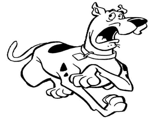 Scooby Doo Sợ Hãi