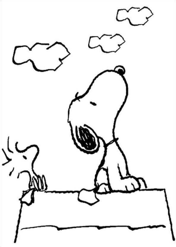Snoopy Nhìn Lên Bầu Trời