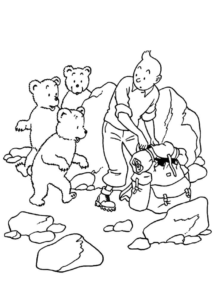 Tintin và Những Con Gấu
