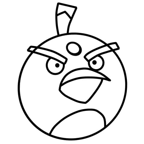 Chim Angry Bird Đơn Giản