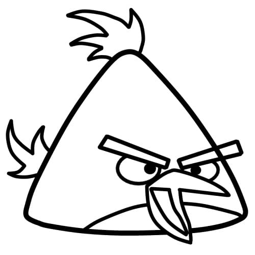 Chim Chuck Giận Dữ