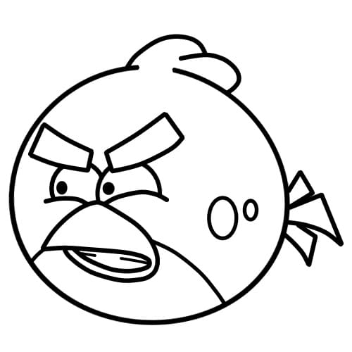 Chú Chim Red Giận Dữ