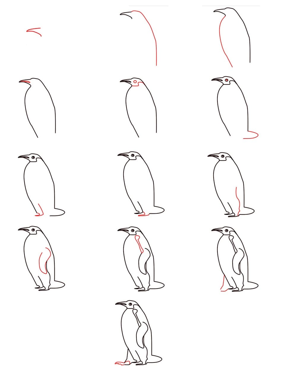 Vẽ Chim Cánh Cụt Theo Các Bước