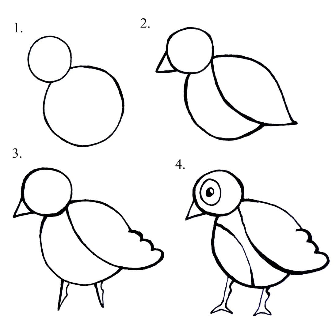 Vẽ Con Chim Đơn Giản Theo Các Bước