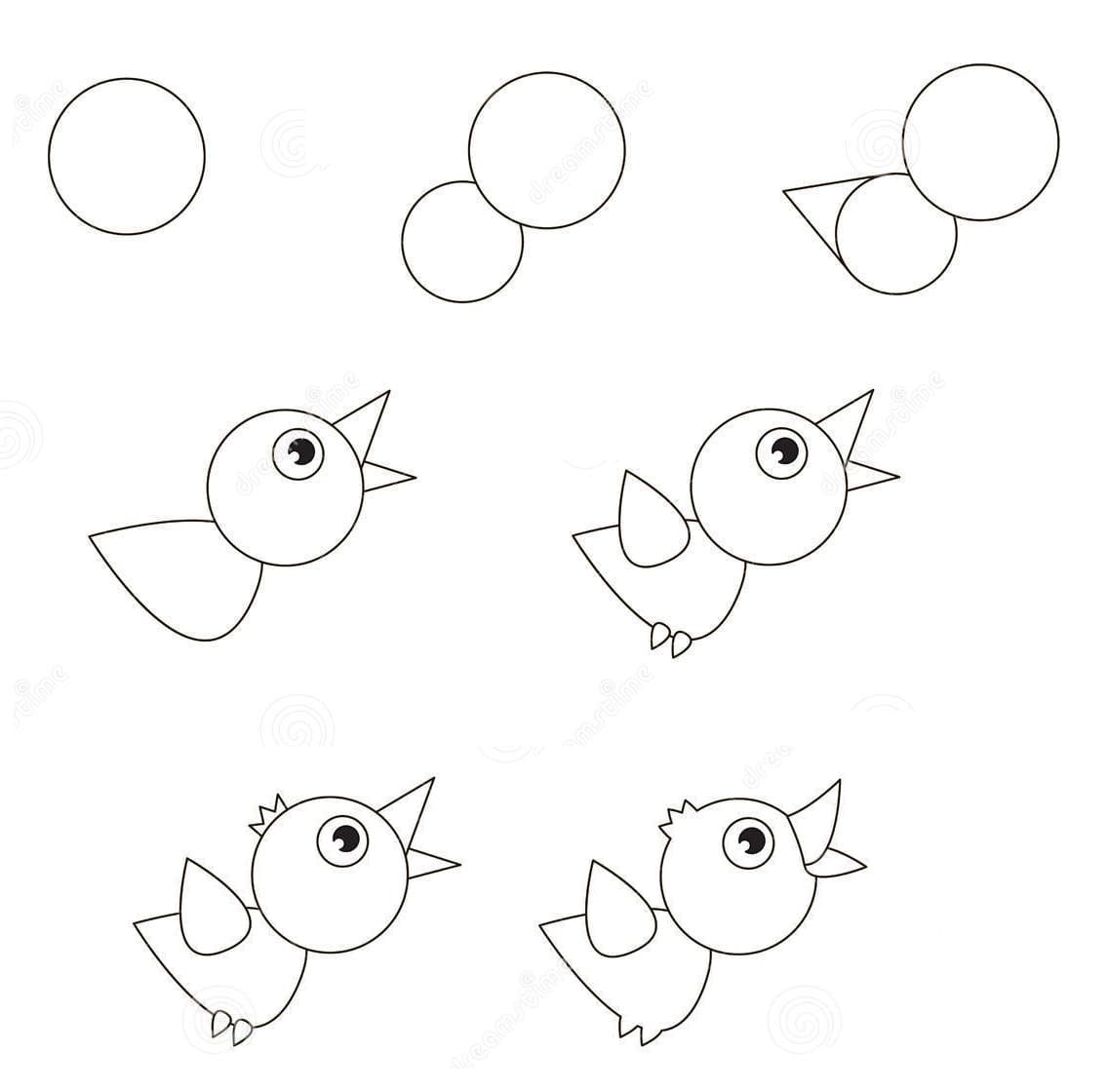 Vẽ Con Chim Đơn Giản