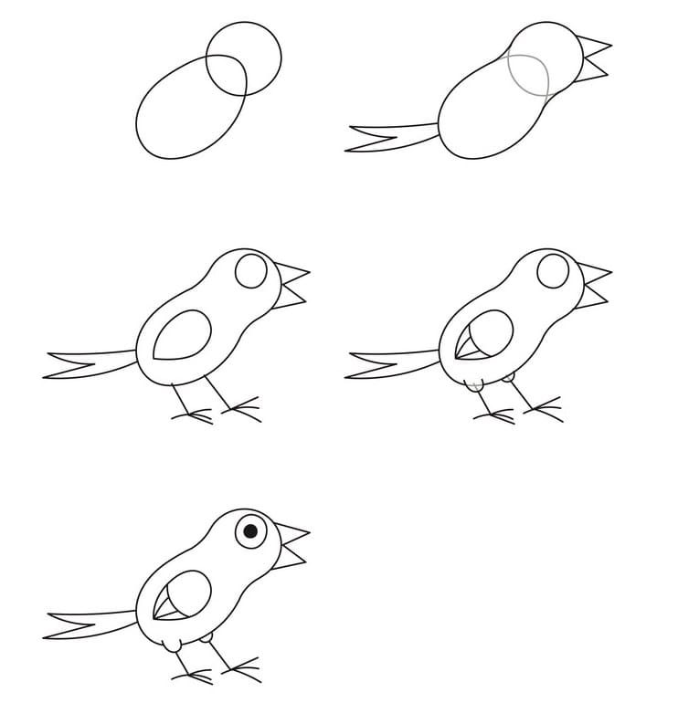 Vẽ Con Chim Vui Vẻ