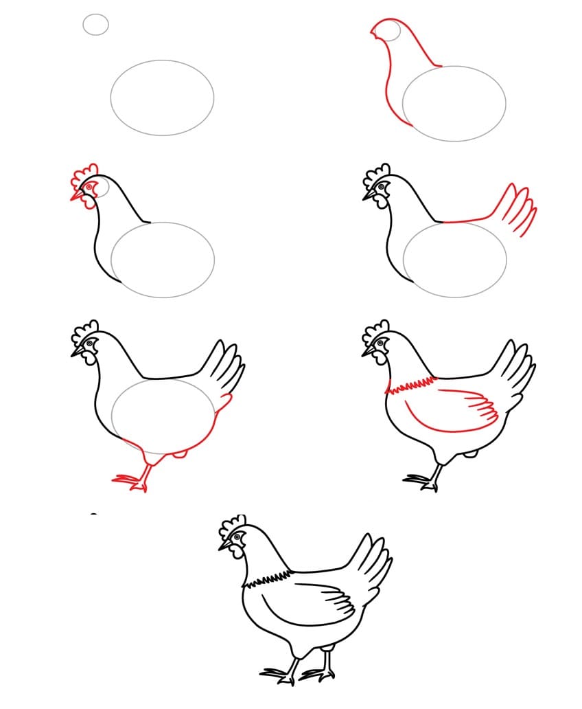 Vẽ Con Gà Mái