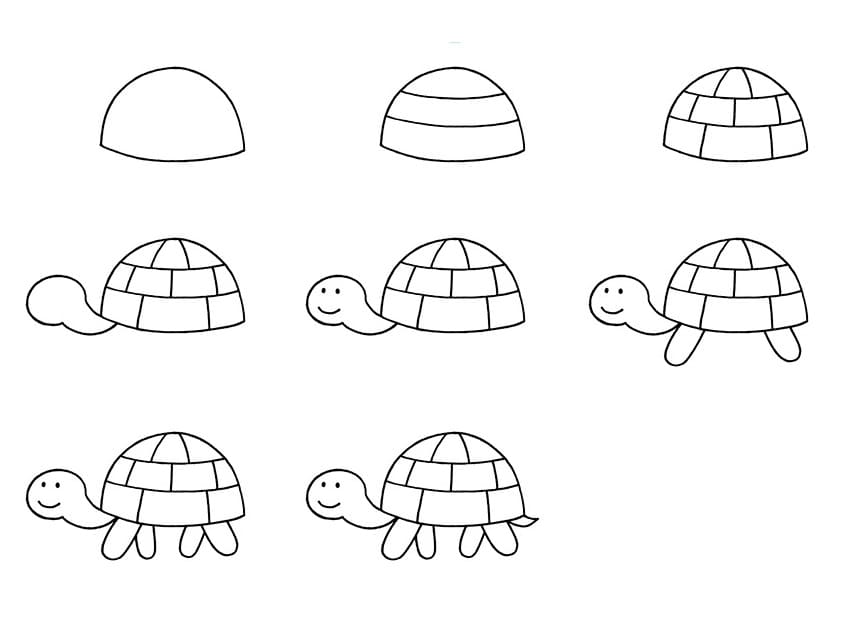 Vẽ Con Rùa Đáng Yêu