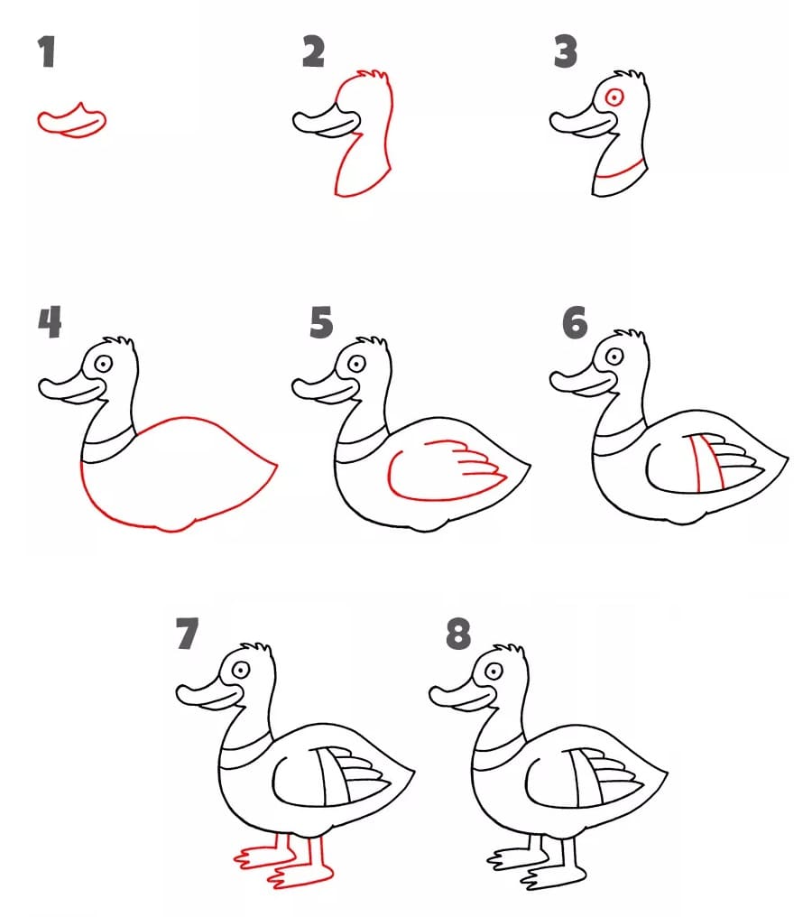 Vẽ Con Vịt Ngộ Nghĩnh