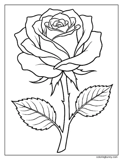 Trang Tô Màu Hoa Hồng Ngày Valentine Đơn Giản