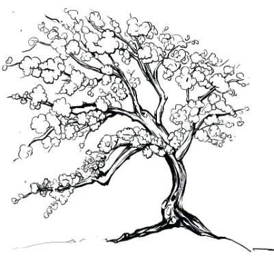 Cây Mai Ngày Tết Cổ Truyền