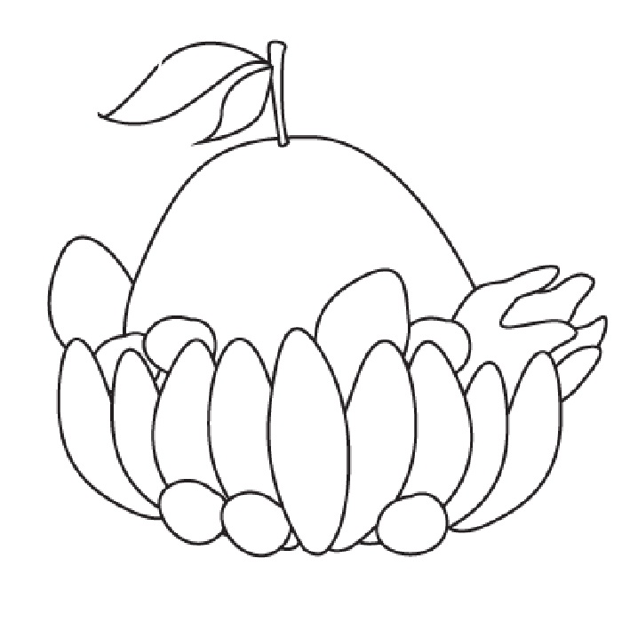 Ngũ Quả Tết Cổ Truyền