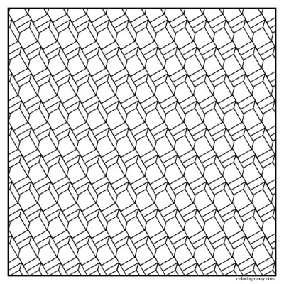 Trang Tô Màu Hình Học 11