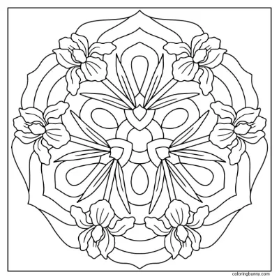 Trang Tô Màu Mandala Hoa Diên Vĩ Đơn Giản