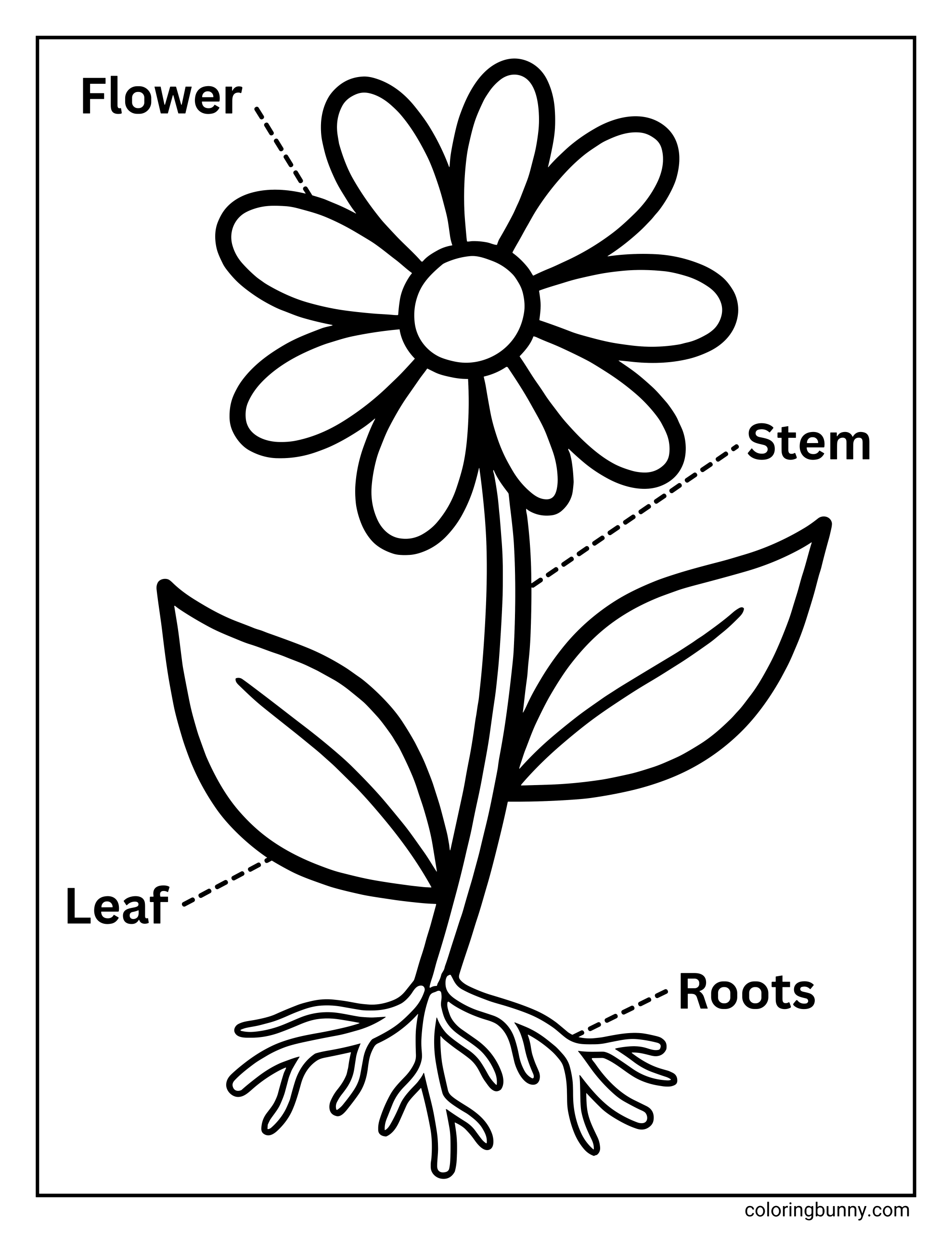 Trang Tô Màu Sơ Đồ Hoa Đơn Giản