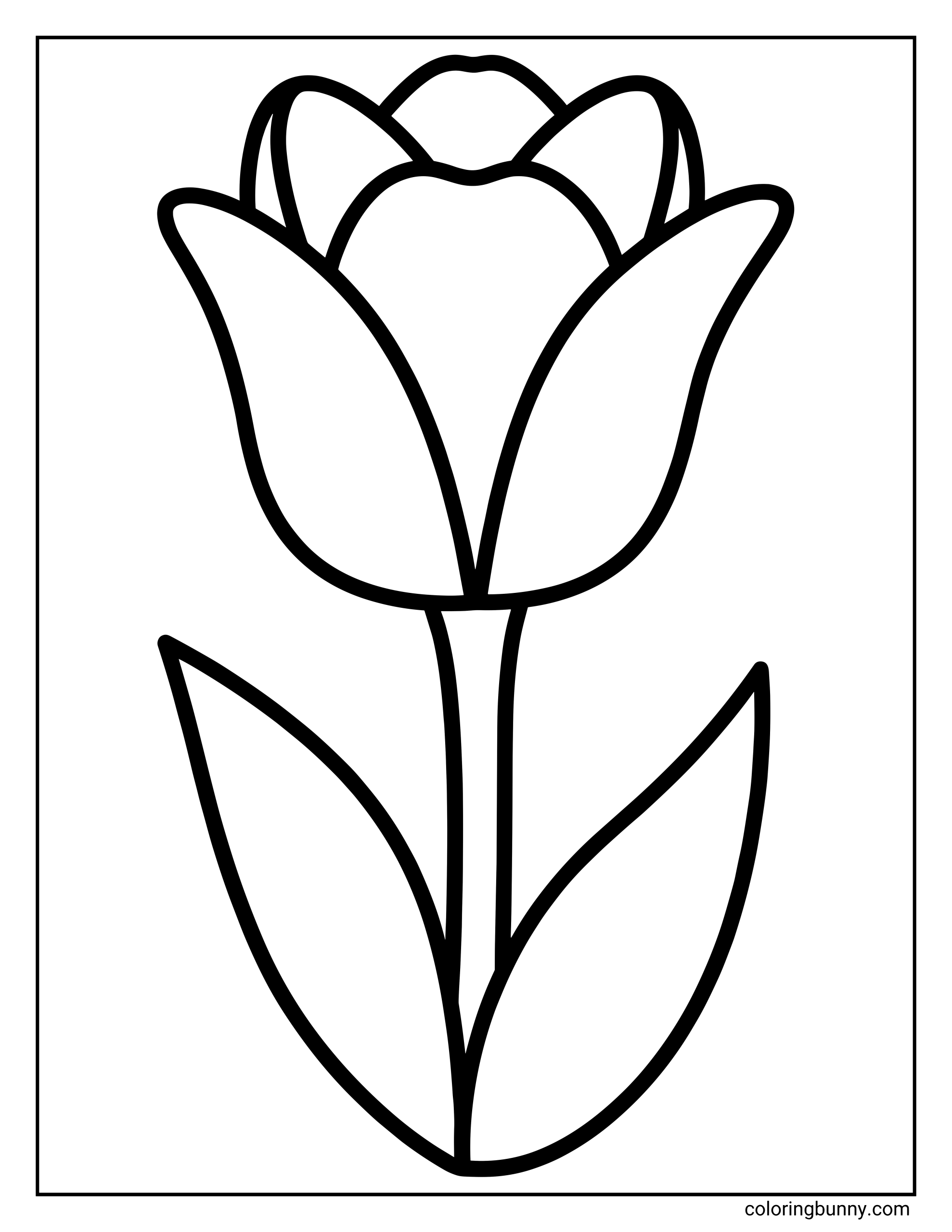 Tranh Tô Màu Hoa Tulip Đơn Giản