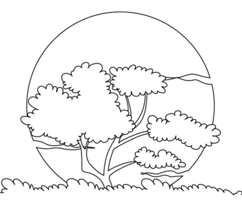 Ảnh mặt trời mọc đẹp