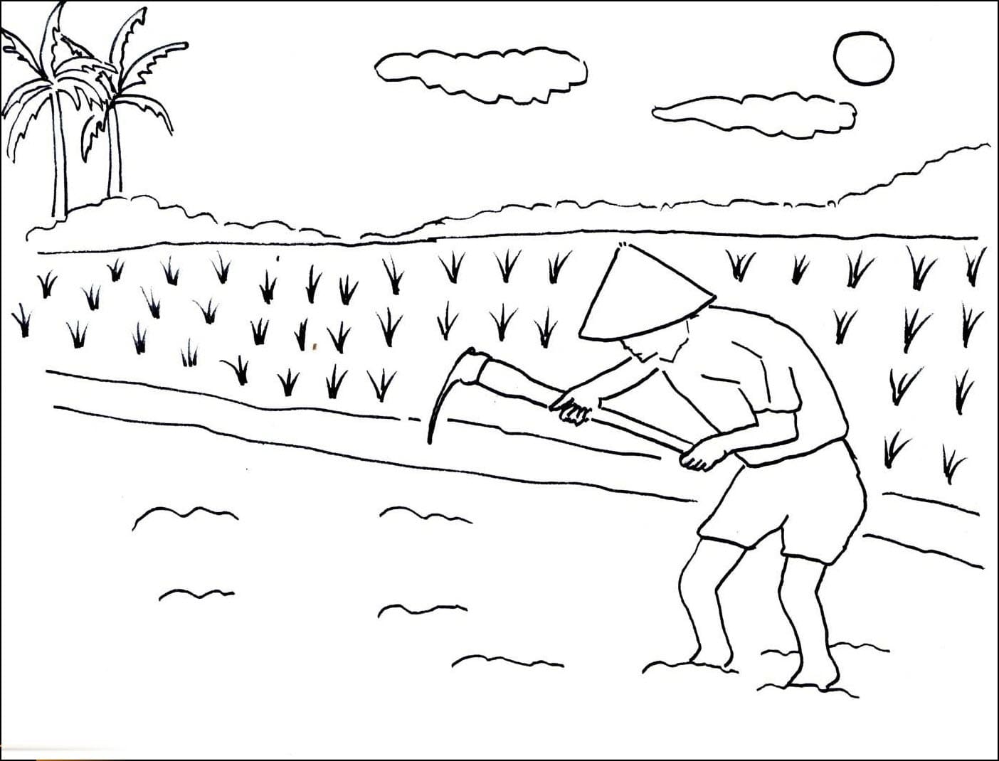 Bac Nông Dân Trên Cánh Đồng Lúa