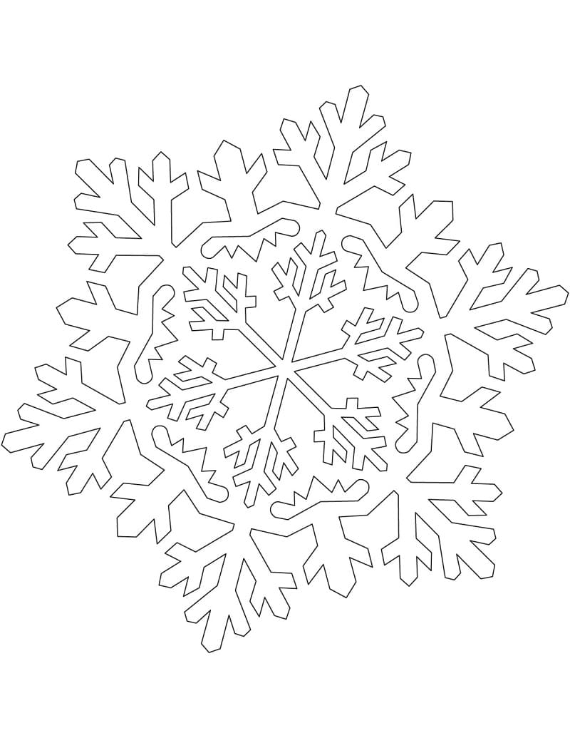 Bông Tuyết Đẹp