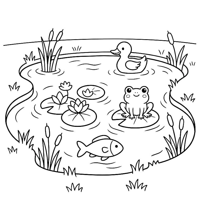 Cute Pond