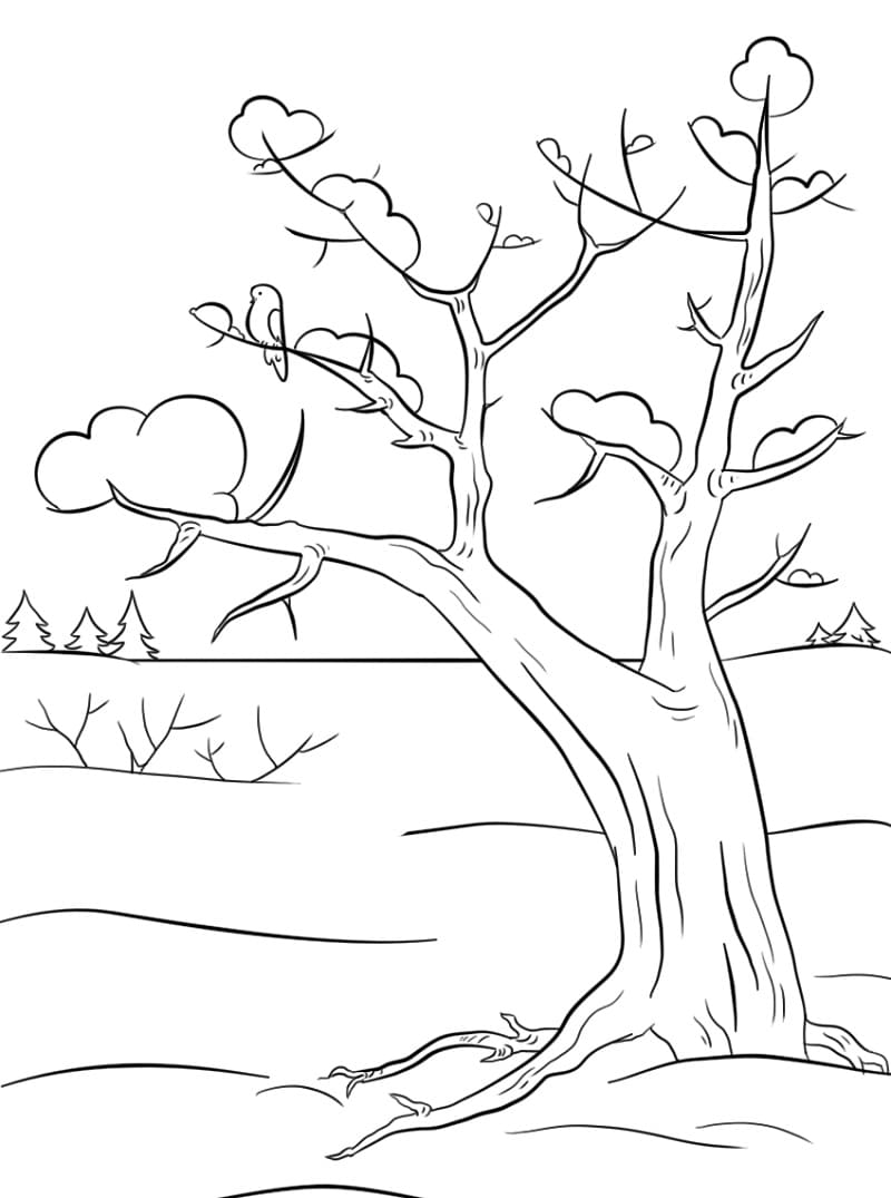 Cái Cây vào Mùa Đông