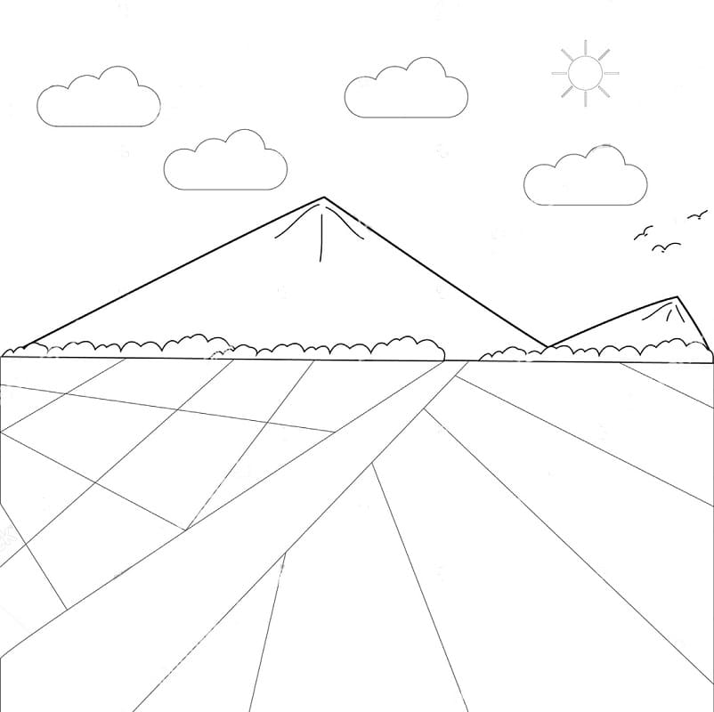 Cánh Đồng Lúa Buổi Sáng