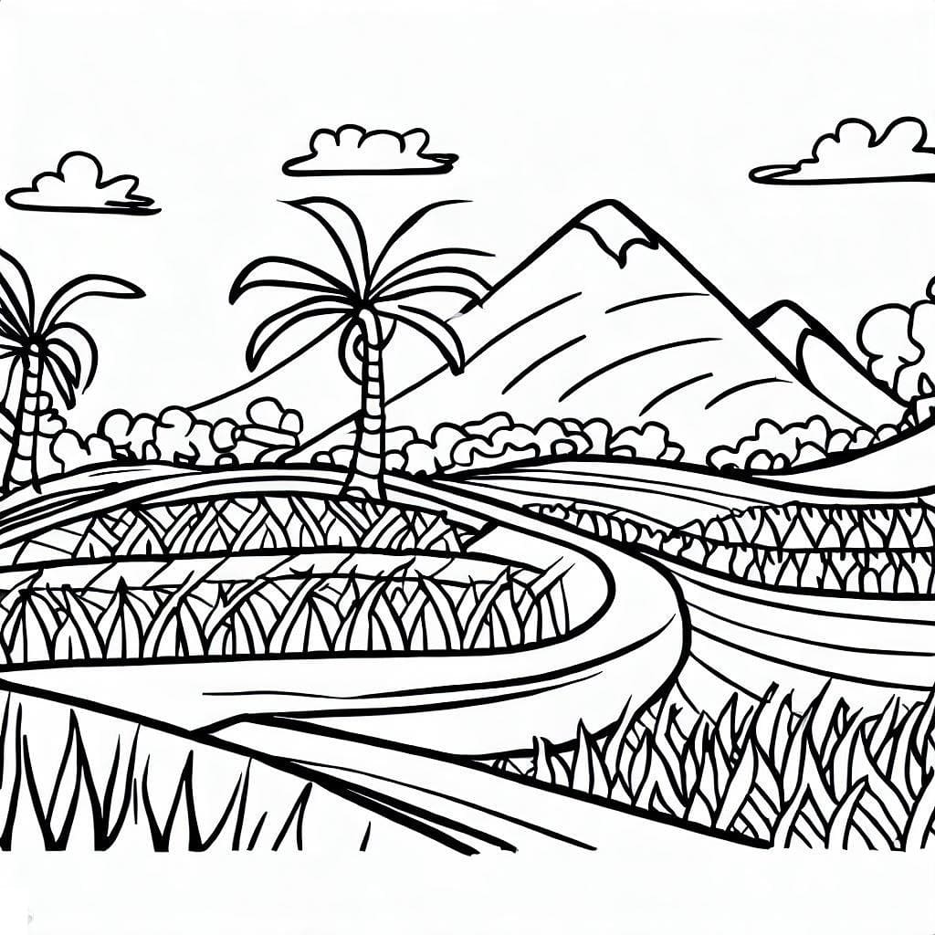 Cánh Đồng Lúa Đẹp
