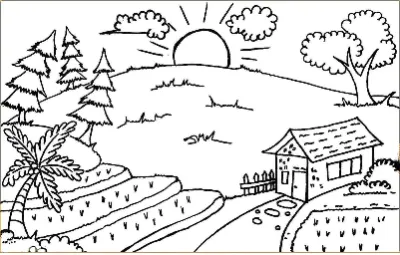 Cánh Đồng Lúa Miền Quê